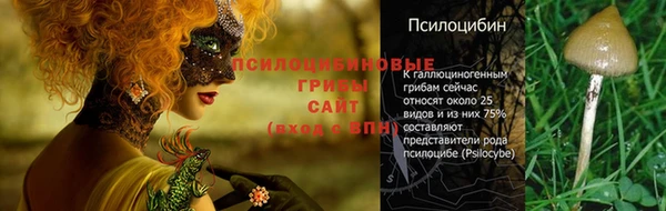 мескалин Баксан