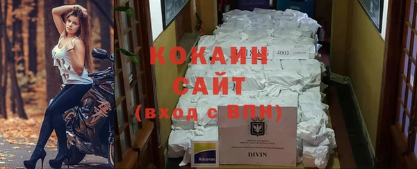 меф Горняк