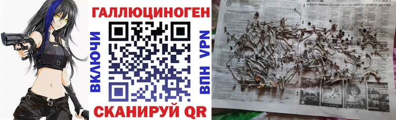 Галлюциногенные грибы Psilocybine cubensis  Приморск 